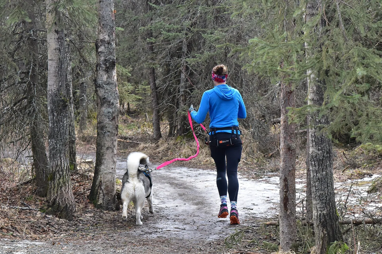 Juoksija lenkkeilee koiran kanssa metsäpolulla